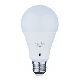 LAMPADINA A60 MILKY 10W E27 3/4/6K REG x