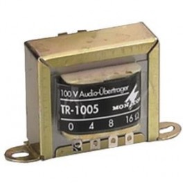 TRASFORMATORE AUDIO 100 V