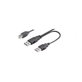 CAVO USB2.0 DUAL POW.A M X2 -