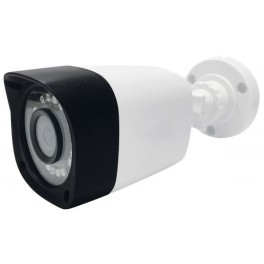 FINTA TELECAMERA PROFESS.C.IR