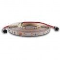 NASTRO .LED5M 60L/M 3528 12V4,8W/M B IP 68