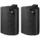 COPPIA CASSE ACUSTICHE 100V 15W