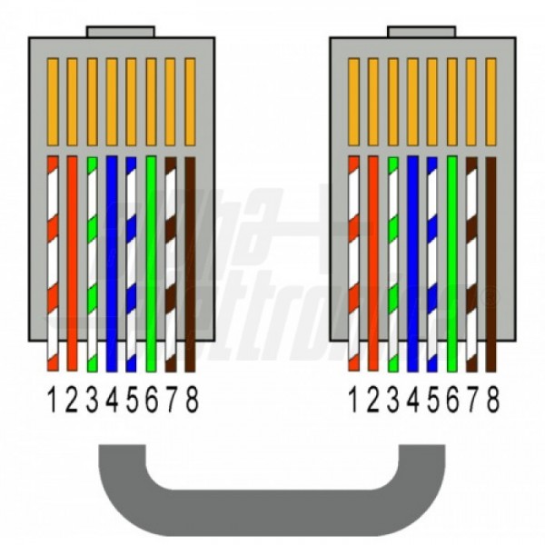 CONNETTORI RJ45 PASSANTI - 100 Pezzi Connettore RJ45 Cat6 per CAT6 CAT5E  CAT5 Sp EUR 23,99 - PicClick IT