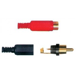 SPINA RCA ROSSA GOLD