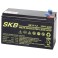BATTERIA AL PIOMBO SKB 12V/7.2A AMPERE FAST 4.8     151 x 65 x 95 - 101 mm