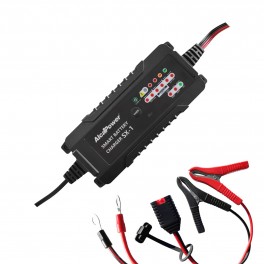 SX-1 CARICABATTERIE SWITCH AUTO 6A 6V/12V 1.2-120Ah LiFePO4