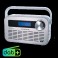 RADIO DIGITALE DAB/DAB+,FM RDS RADIO DIGITALE DAB/DAB+, SINTONIA PLL RDS FM, SVEGLIA CON DOPPIO ALLARME, INGRESSO AUX-IN E USCIT