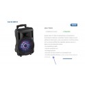 BOX AUDIO ATTIVO 10" 220/400W
