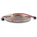 NASTRO LED  120 Led/m 3528 - 24Vdc -9,6W