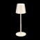 LAMPADA LED DA TAVOLO RICARICABILE TOUCh LAMPADA LED DA TAVOLO RICARICABILE TOUCH DIAM. TESTA 7,5CM H.37CM PESO 770gr ADATTA AD