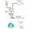 Dimmer strisce led RGBW 12-24V WiFi Controller LED RGBW 12/24V 12A max - 3A per canale - 4 canali - Comando Wi-Fi tramite App e