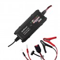 SX-1 CARICABATTERIE SWITCH AUTO 6A 6V/12V 1.2-120Ah LiFePO4