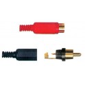 SPINA RCA ROSSA GOLD