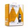RICETRASMETTITORE DUALBAND CT990-EB BATTERIA 3600MAH