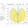 LAMPADINA  LED  R7S-L118 10W LED EV
