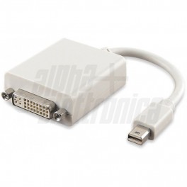 Adattatore Mini Display-port - Presa DVI Adattatore Mini Display-port - Presa DVI