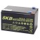 BATTERIA AL PIOMBO SKB 12V/14 FAST.6,3