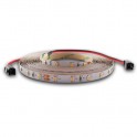 NASTRO LED 4,8W/M 24 VOLT  2700 K LUCE CALDA  IP20