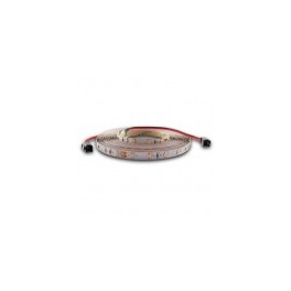 NASTRO .LED5M 60L/M 3528 12V4,8W/M B IP 68